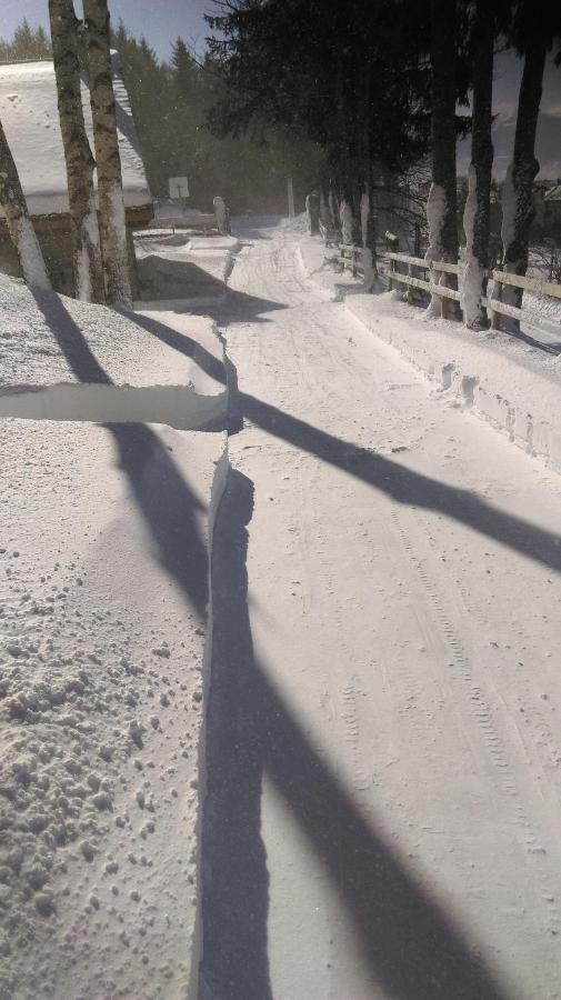 Chalet Les Sorbiers Égat Kültér fotó
